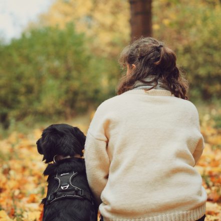 Frau sitzt mit ihrem Hund im herbstlichen Wald nebeneinander und blickt in die Natur. Eine Frau sitzt Rücken an Rücken mit einem Hund auf einer Laubwiese im herbstlichen Wald. Beide schauen ruhig in die Natur. Das Bild vermitt